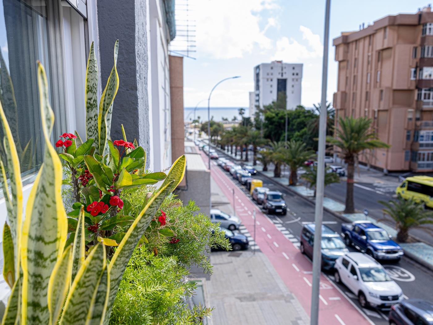 Bambú Suites Vegueta 4 Alquiler por Habitación en Las Palmas de Gran Canaria